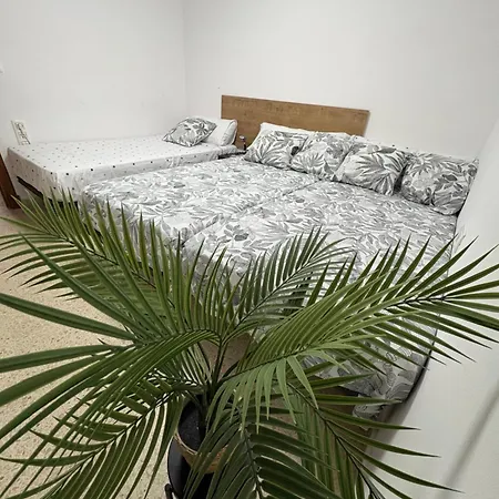 Loft *